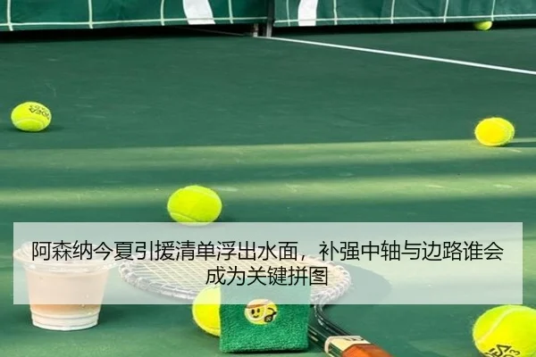 阿森纳今夏引援清单浮出水面，补强中轴与边路谁会成为关键拼图 - kaiyun